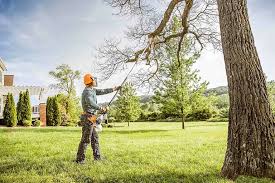 Best Tree and Shrub Care  in Maypearl, TX